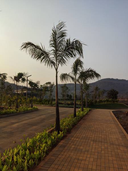  hillview-estate Elevation