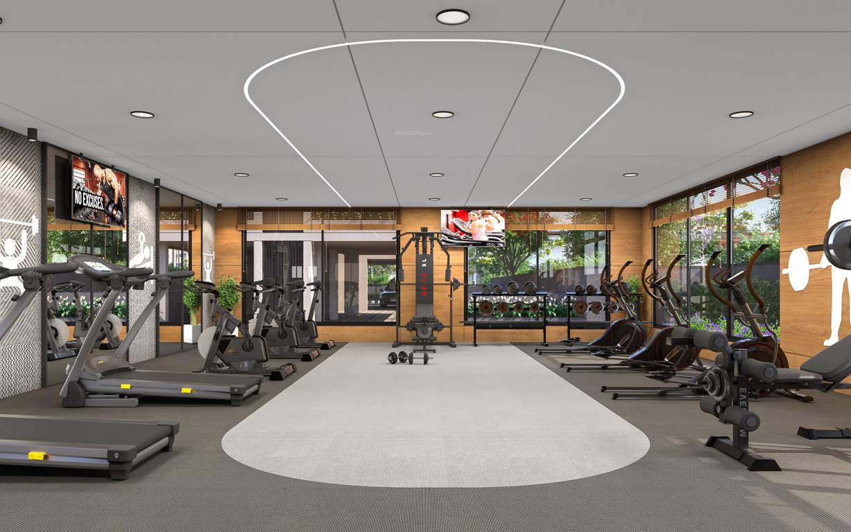  city life Gymnasium