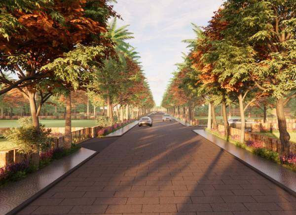  natures-grove Internal Roads