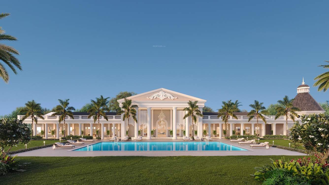 azur Landscape Garden and Tree Planting