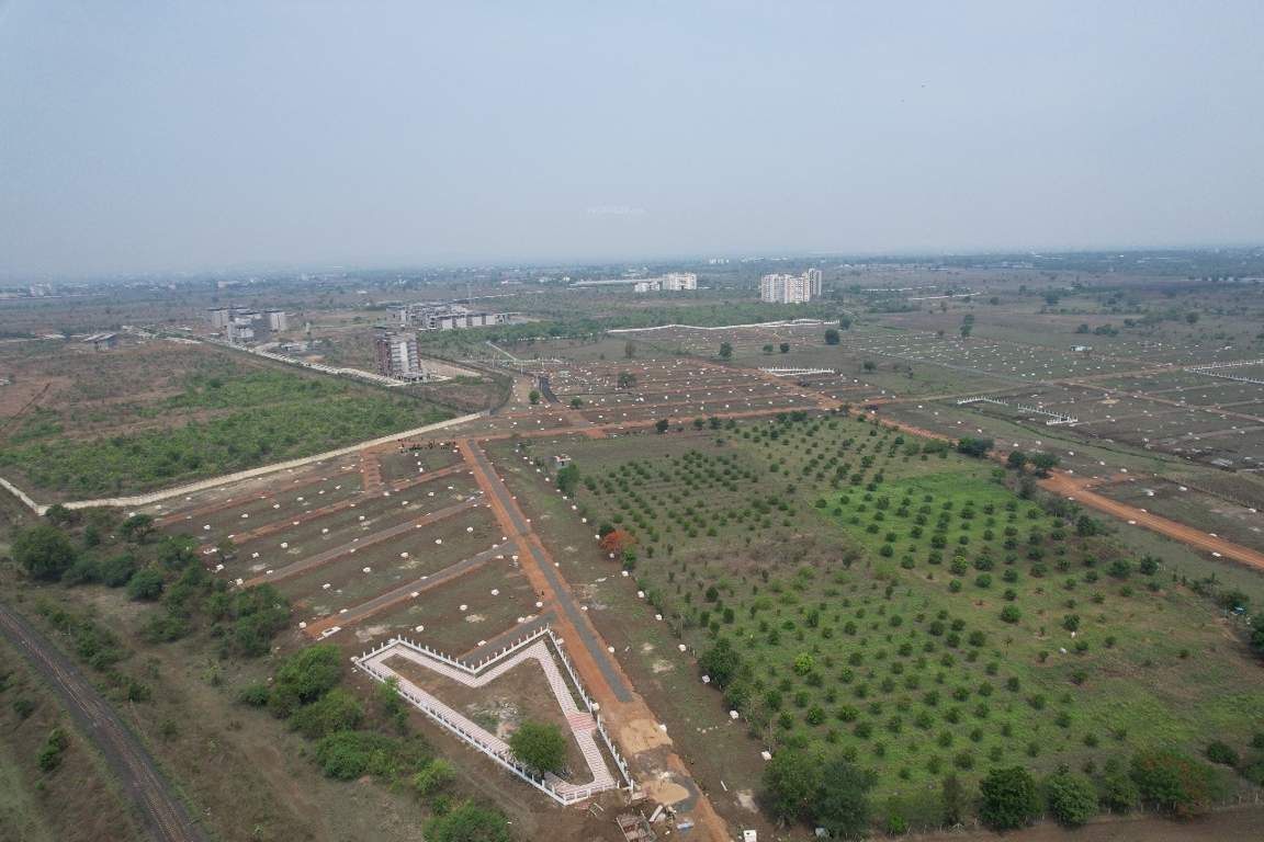  skyline park Plot