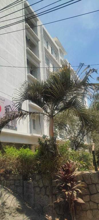  cricket villa Elevation