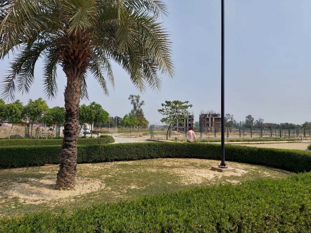  omaxe metro city Plot