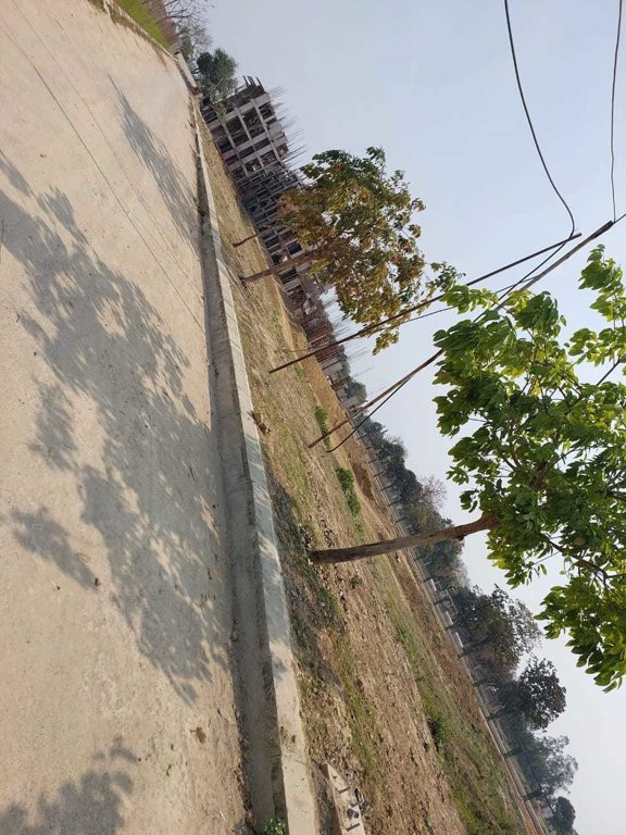  omaxe metro city Plot