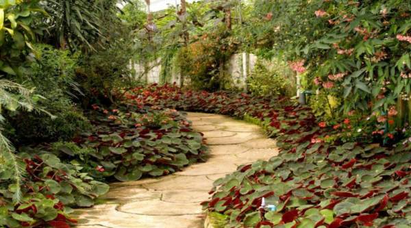  emrald Landscaped Gardens