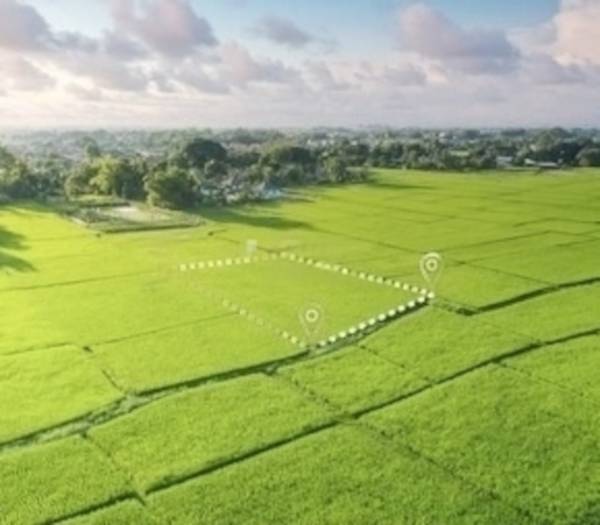  priyadarshini-woods-at-indresham Elevation