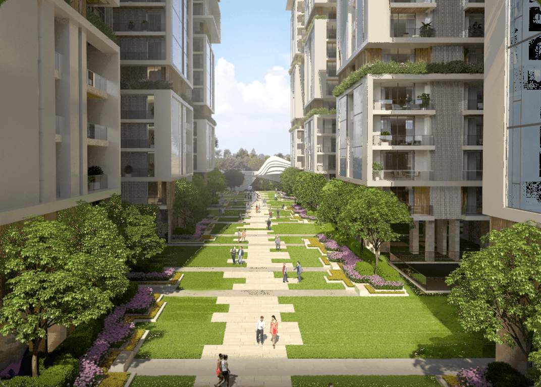  the pearl phase ii Others