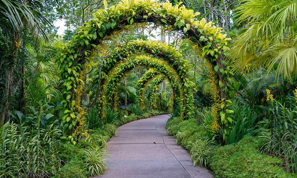  kensho hills Landscape Garden and Tree Planting