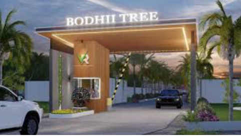  bodhii-tree Elevation