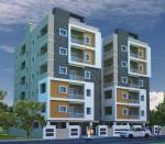 Elevation crown Elevation