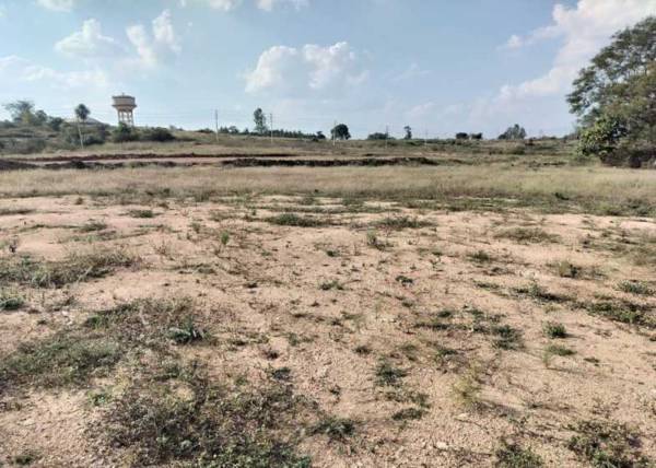  aadrika-phase-ii Elevation