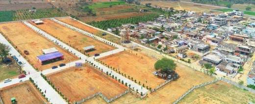 psr-county Elevation Elevation