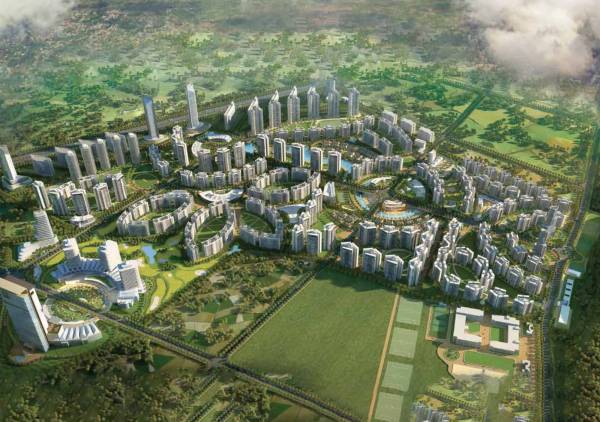  wellington-f-g Elevation