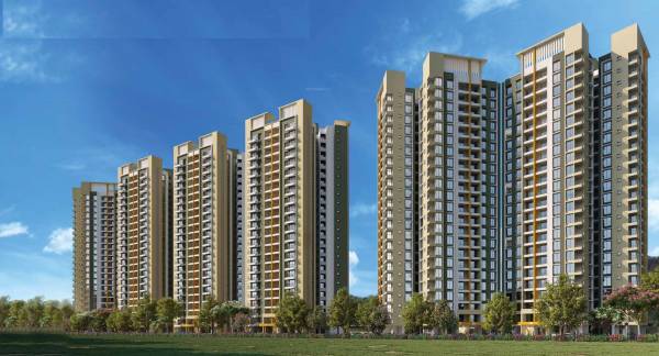  wellington-f-g Elevation