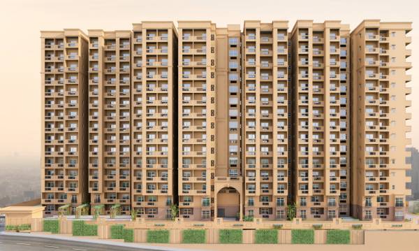  sky-blossom Elevation