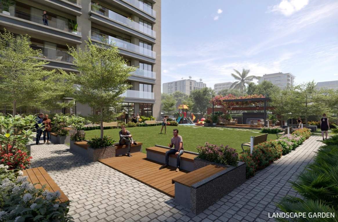 excellence Landscape Garden and Tree Planting