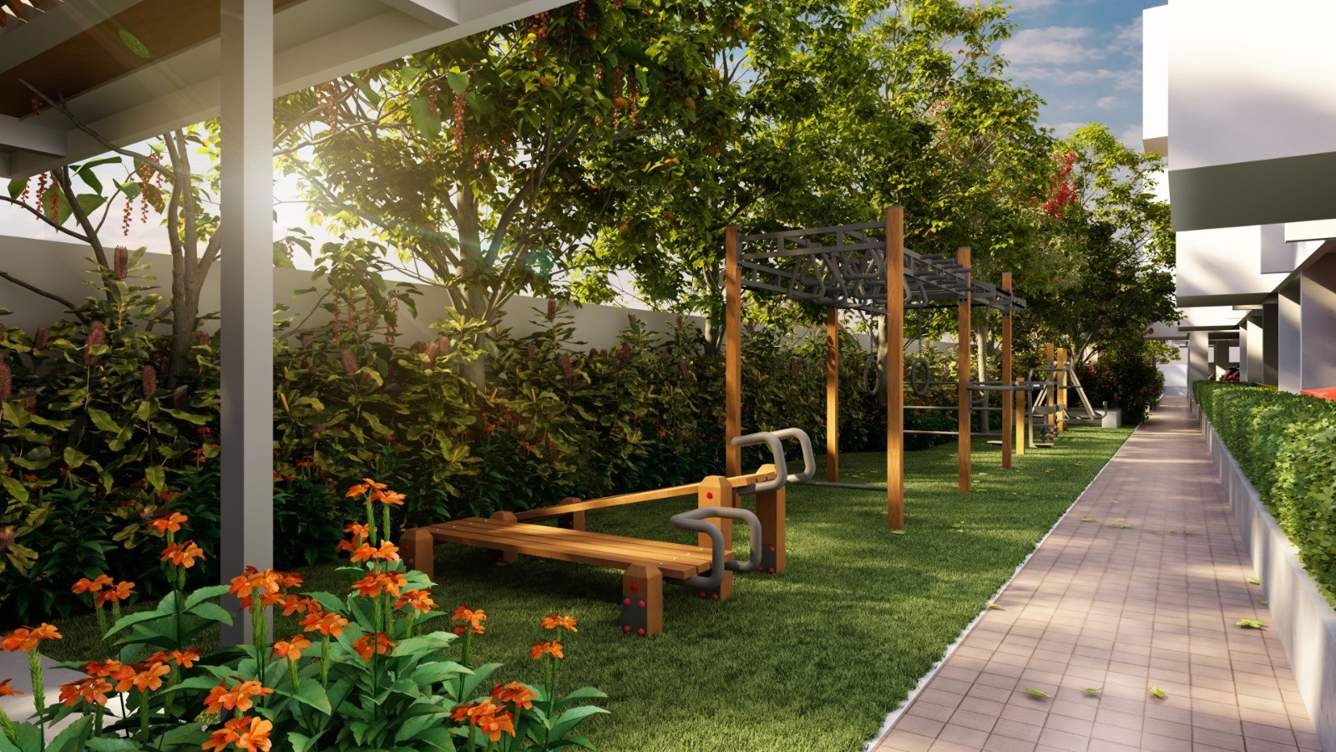  riviera royale Others