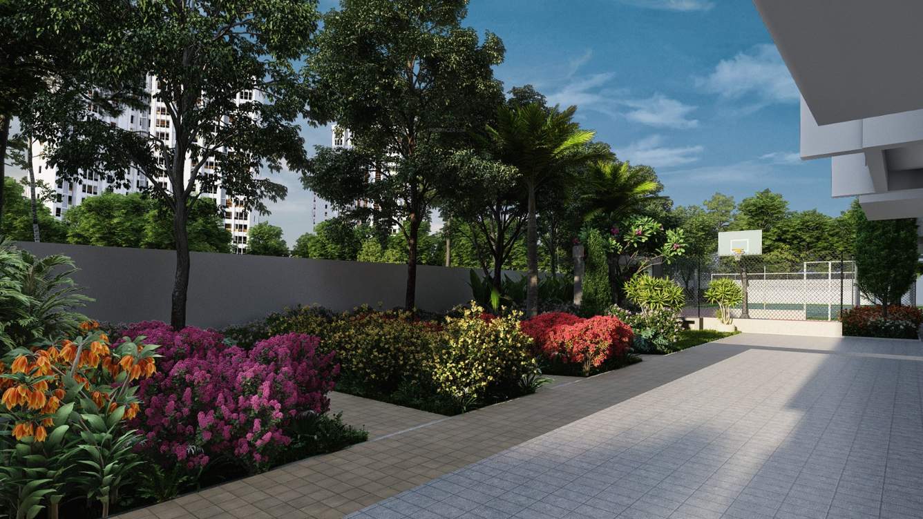  riviera royale Paved Compound