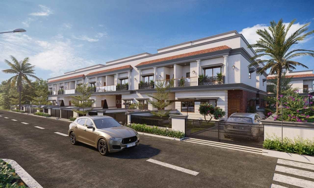  the luxuria Elevation