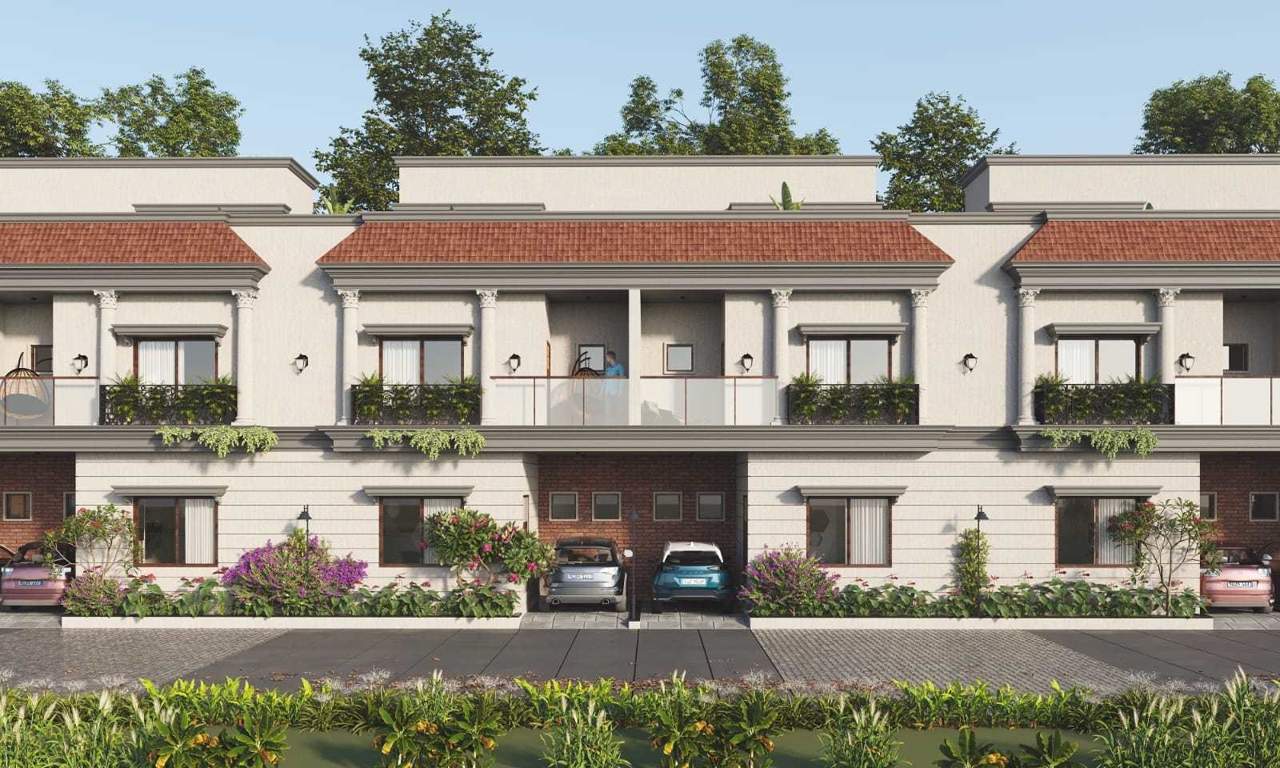  the luxuria Elevation