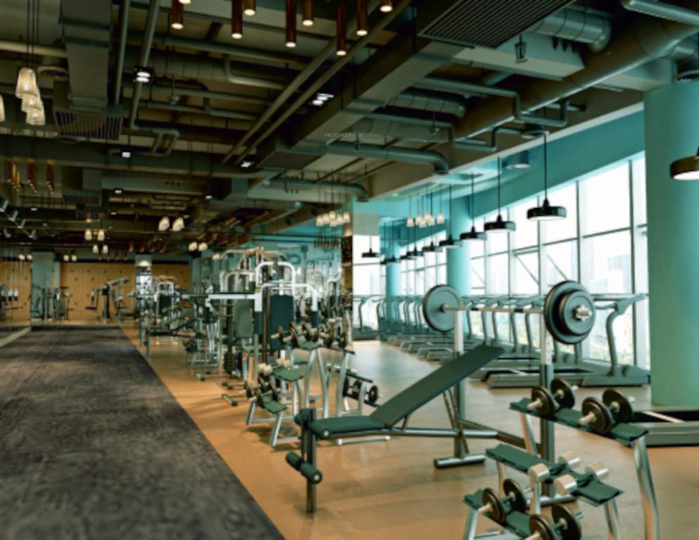  the estate residences Gymnasium