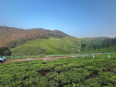  farm-estates Landscape Garden and Tree Planting