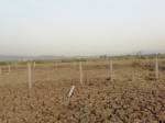  residential-and-commercial-plots-in-mira-bhayander-thane Plot