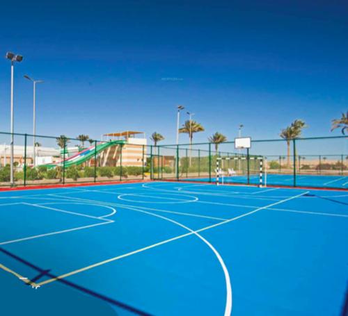  stardom Volleyball Court