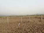  residential-and-commercial-plots-in-ulwe-navi-mumbai Plot