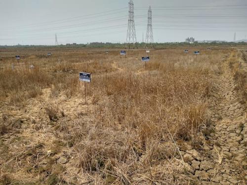  residential-and-commercial-plots-in-ulwe-navi-mumbai Plot