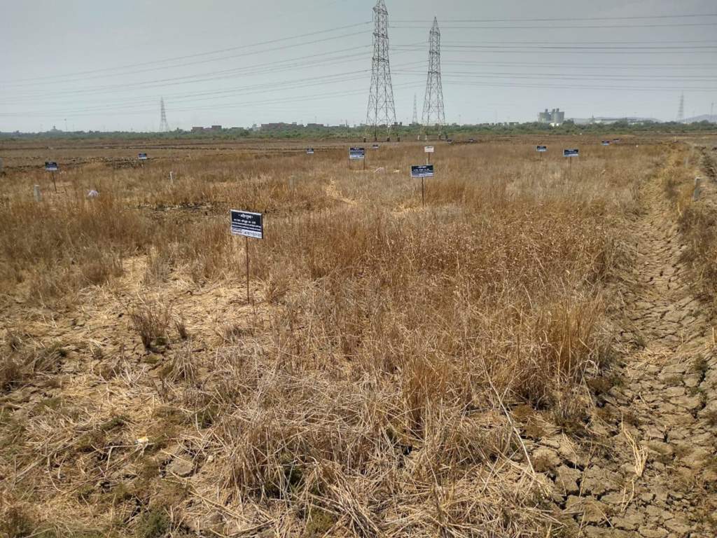  residential and commercial plots in ulwe navi mumbai Plot