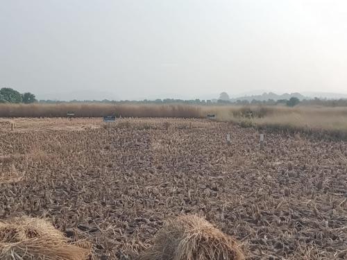  residential-and-commercial-plots-in-belondakhar-navi-mumbai Elevation