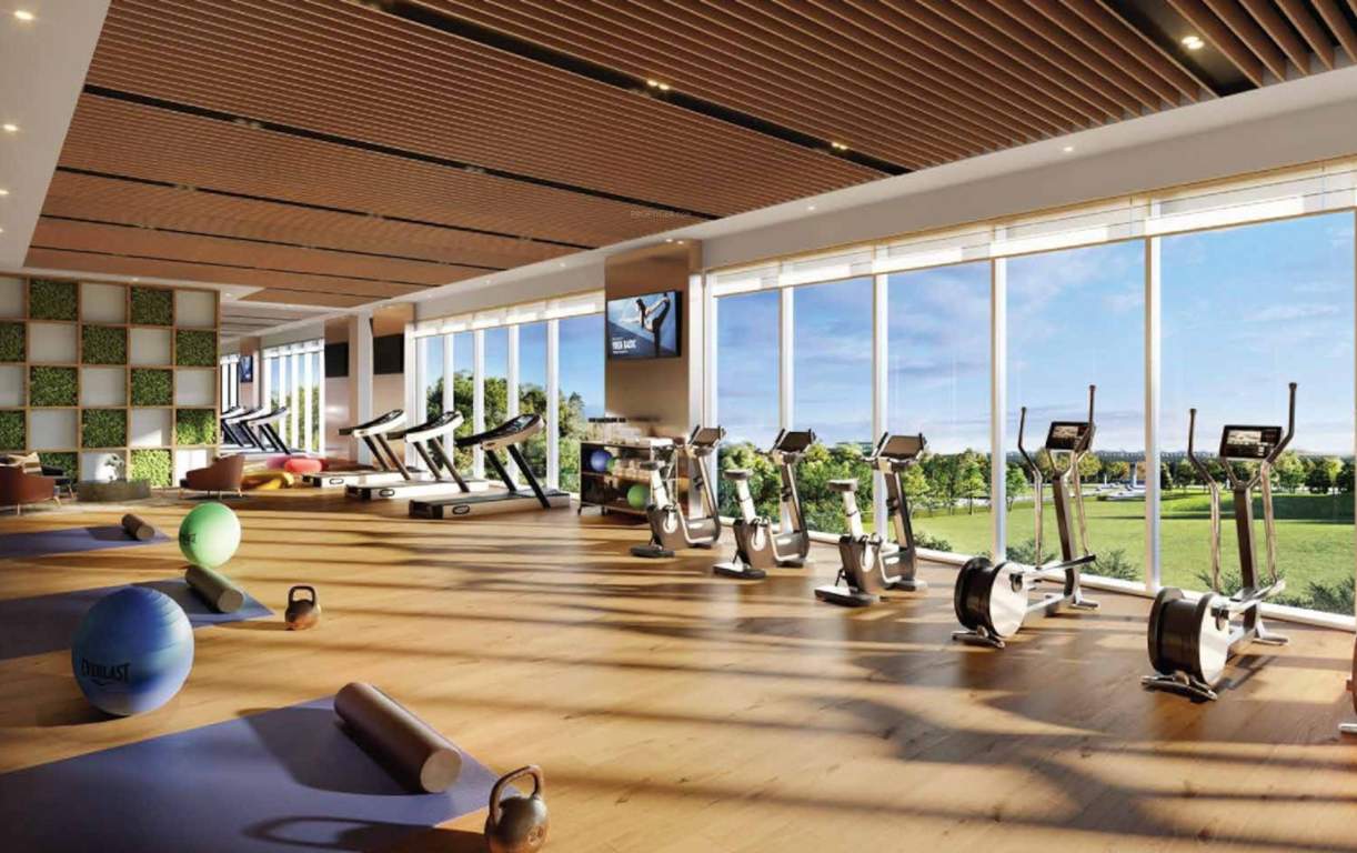  dove at l and t realty elixir reserve Gymnasium