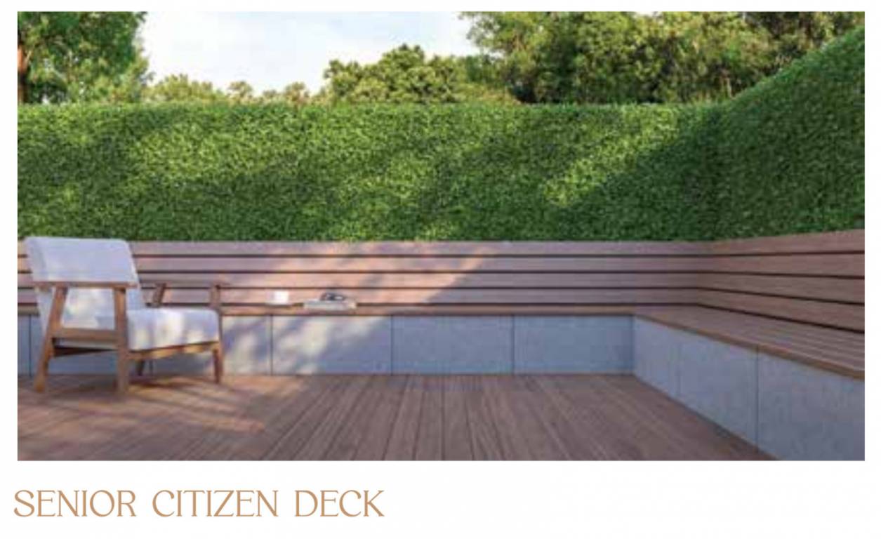  prathamesh Senior Citizen Sitout