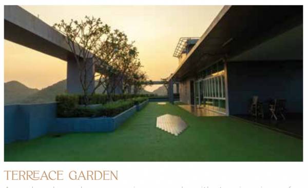  prathamesh Terrace Garden