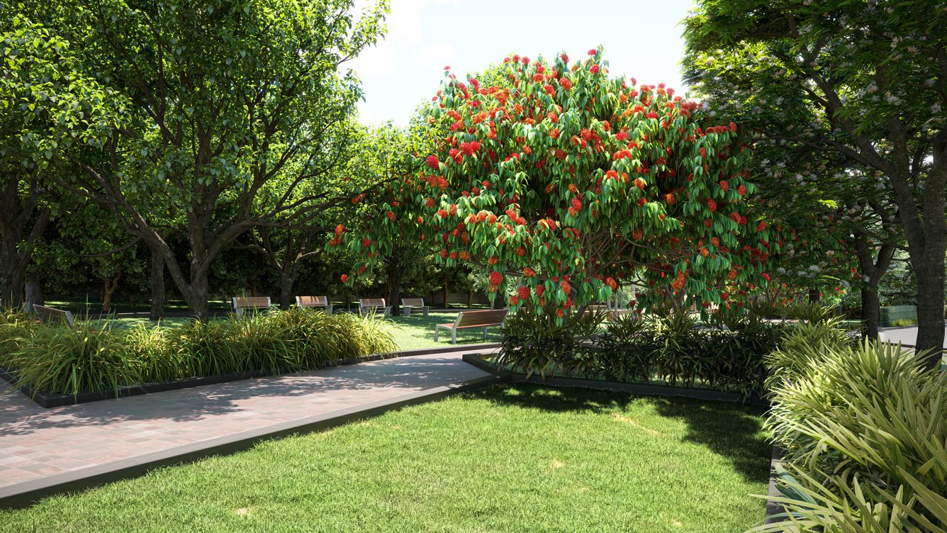 promise of spring Others