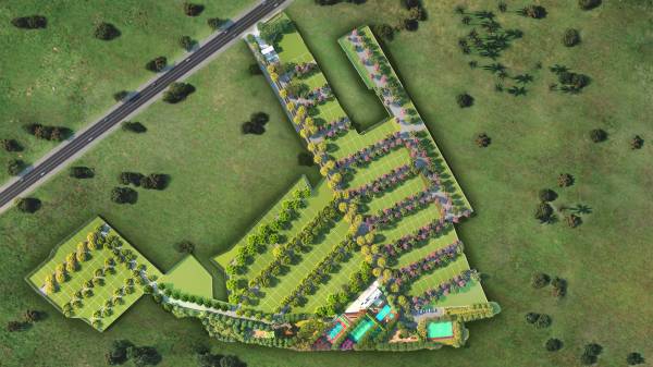 Plot promise-of-spring Plot