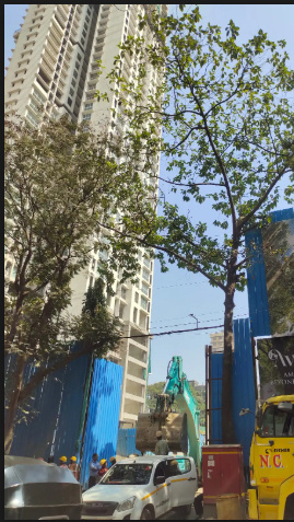  anchorpoint-aviara Construction Status Jan-25