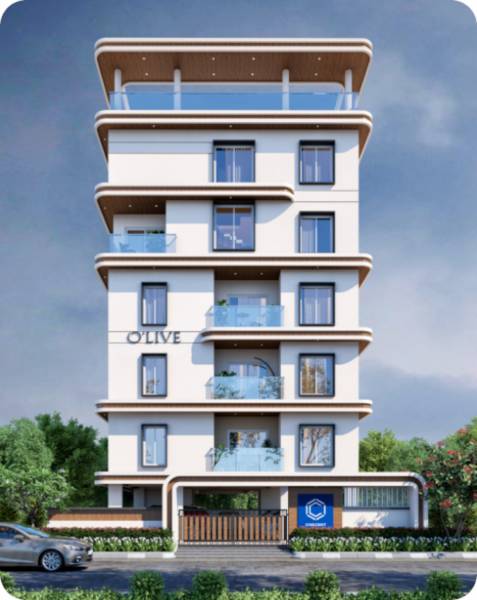 Elevation olive Elevation