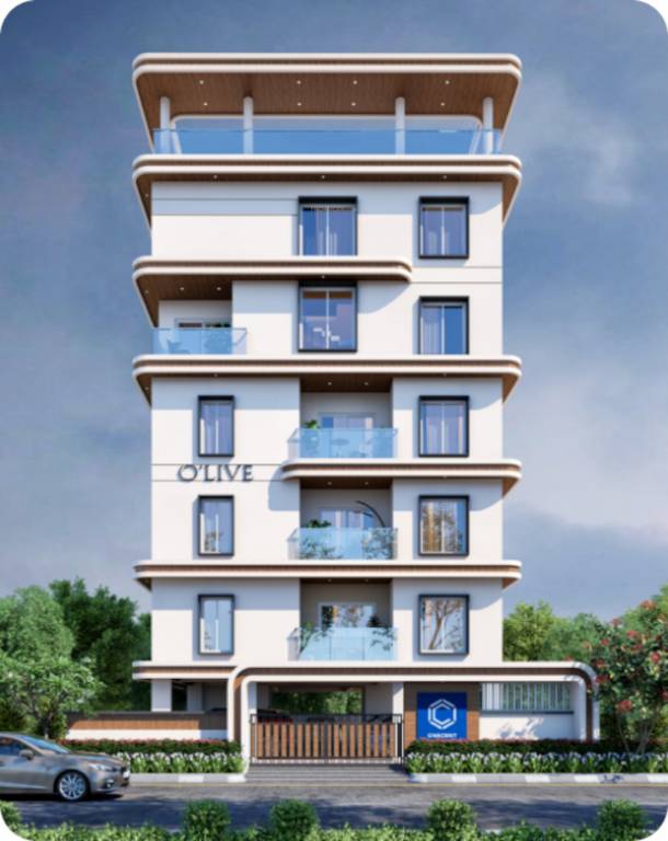 Elevation olive Elevation