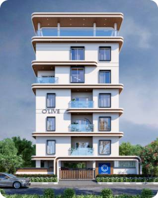 olive Elevation Elevation