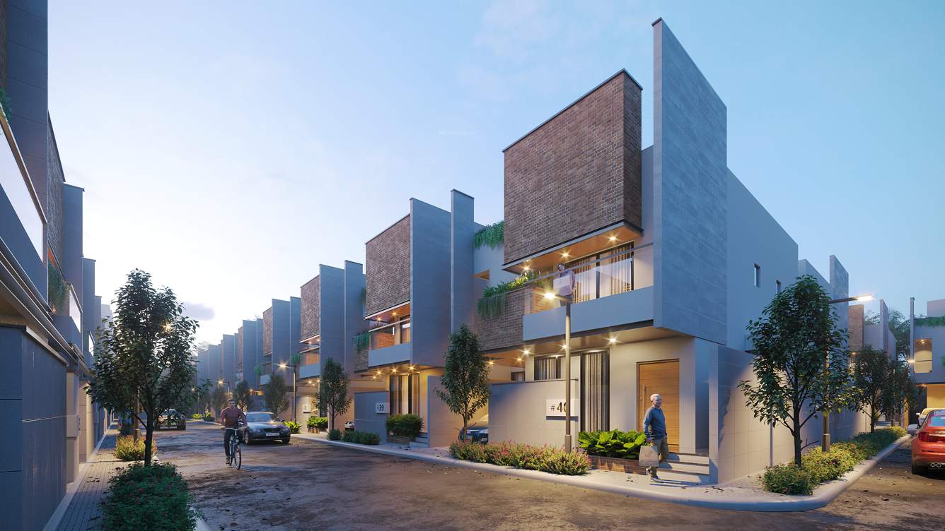  bellevue nest Elevation