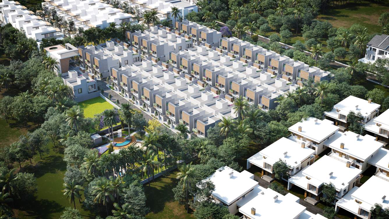  bellevue nest Elevation