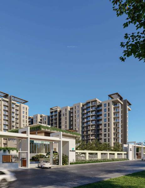 main of DNR Arista Phase 2