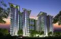 DNR Group Arista Phase 2