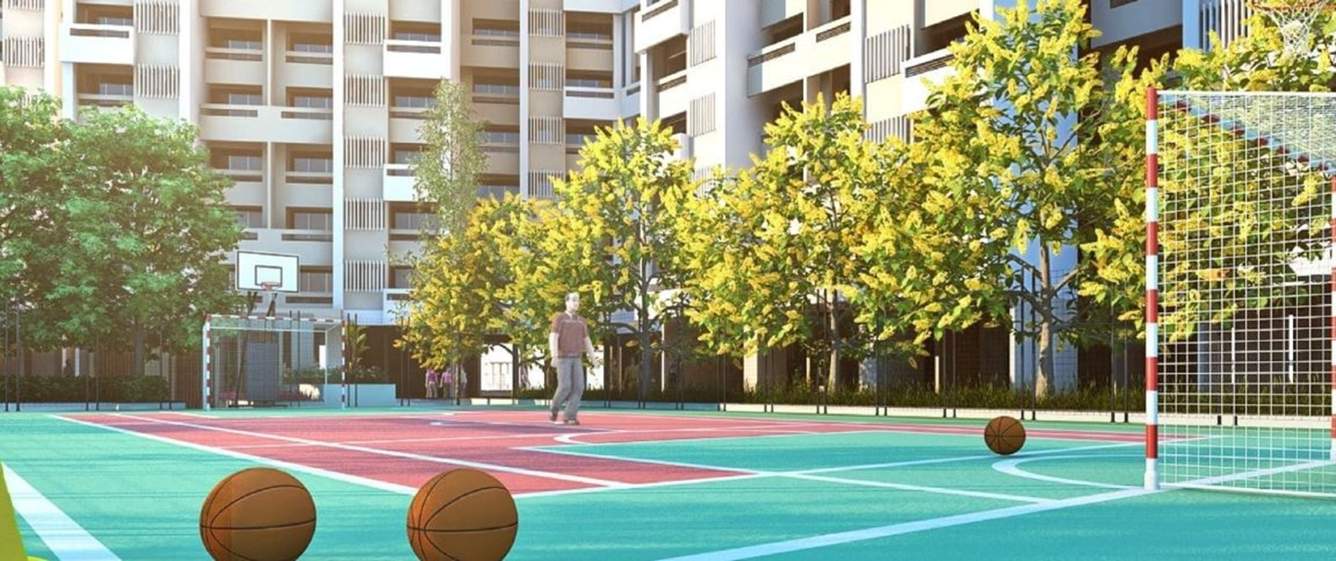  amavi 303 Basketball Court