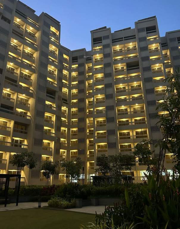  amavi 303 Landscape Garden and Tree Planting