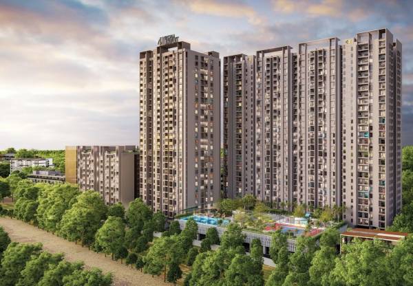 Elevation 41-luxovert Elevation