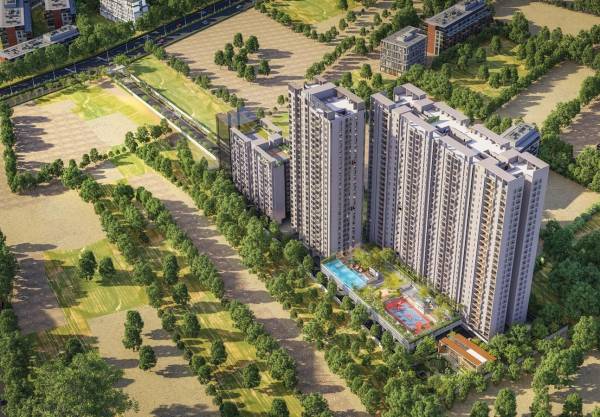 Elevation 41-luxovert Elevation