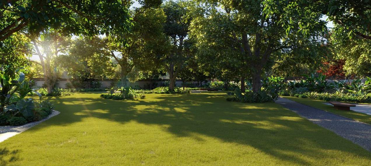  reserve wing 3 Landscape Garden and Tree Planting